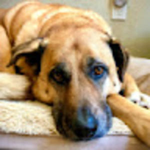 Meet your Posher, Highaltitudegal